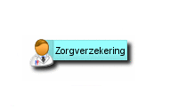 Zorgverzekeringen 2016
